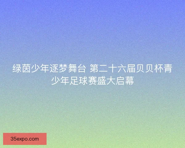 绿茵少年逐梦舞台 第二十六届贝贝杯青少年足球赛盛大启幕 绿茵少年逐梦舞台 第二十六届贝贝杯青少年足球赛盛大启幕